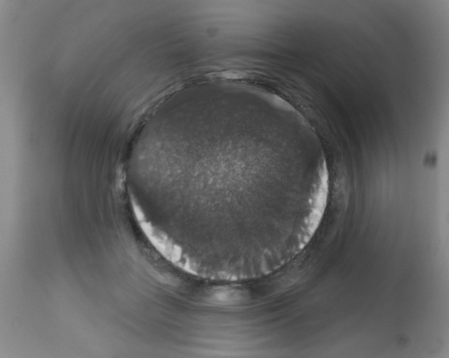 X0000113060555200910091146