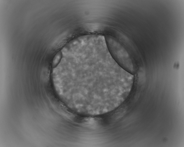 X0000113060558200910091146