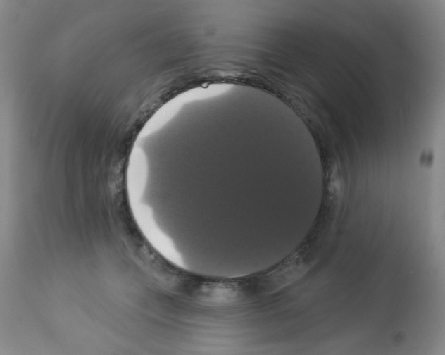 X0000113060559200910091146