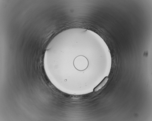 X0000113060560200910091146