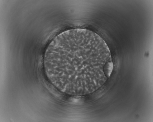 X0000113060563200910091146