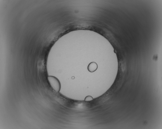 X0000113060564200910091146