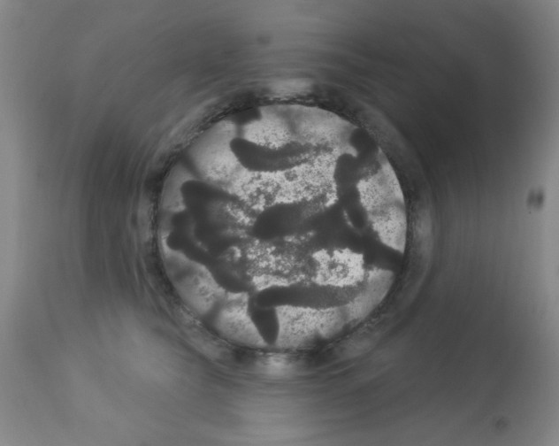 X0000113060565200910091146
