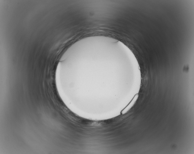 X0000113060566200910091146