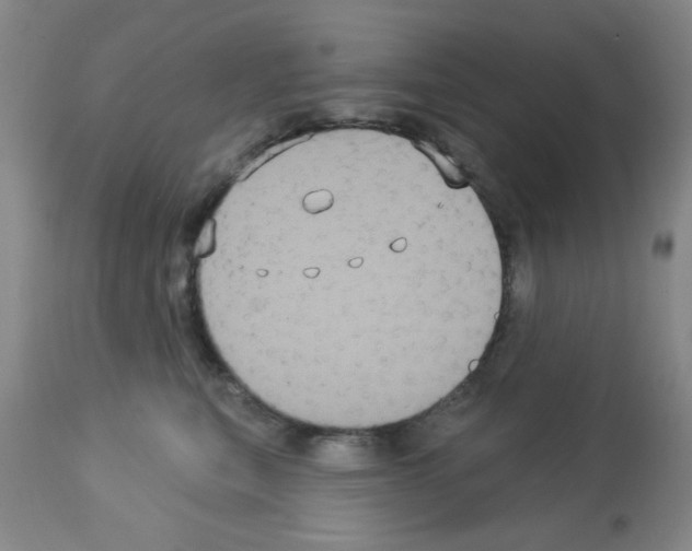 X0000113060567200910091146