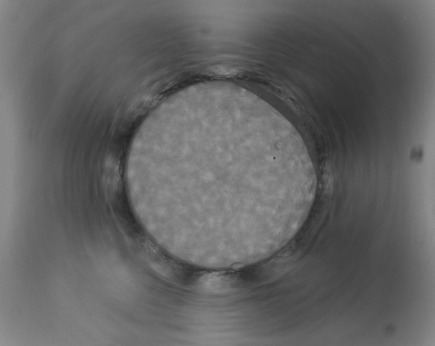 X0000113060568200910091146