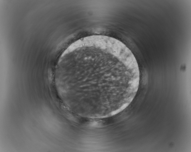 X0000113060569200910091146