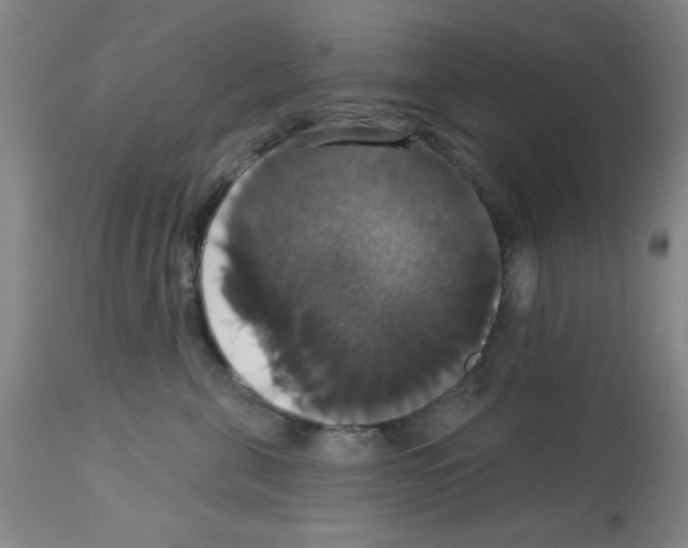 X0000113060571200910091146