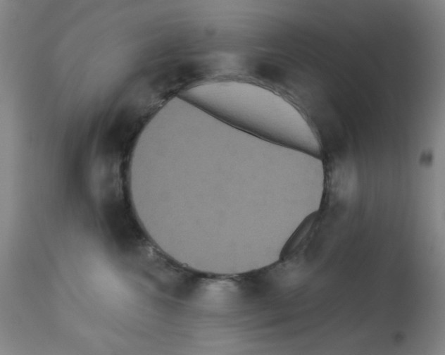 X0000113060572200910091146