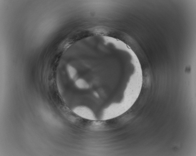 X0000113060573200910091146