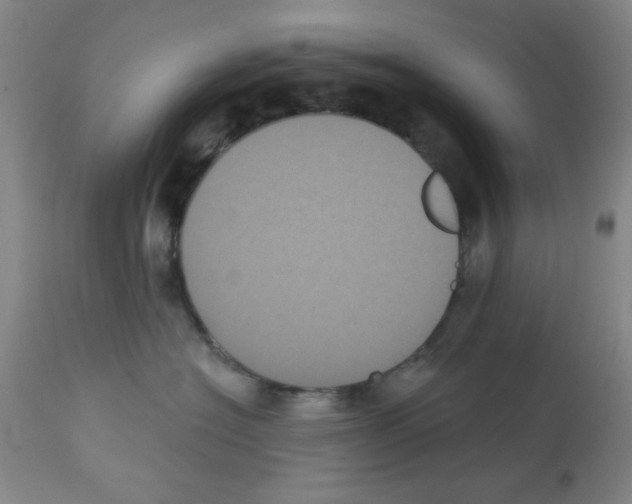 X0000113060574200910091146