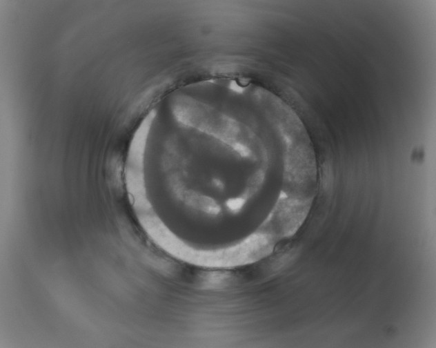X0000113060575200910091146