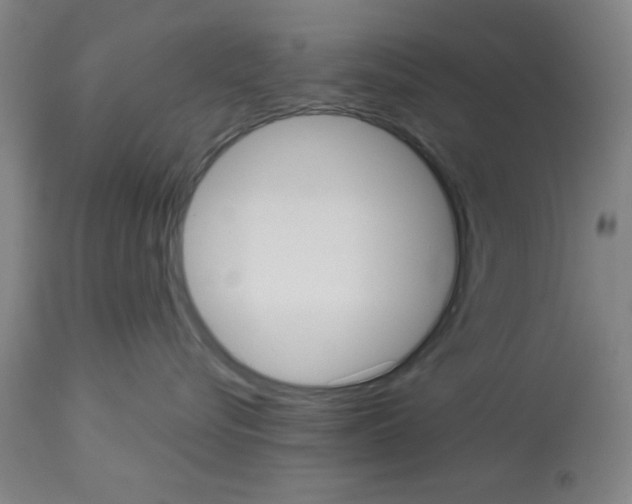 X0000113060576200910091146