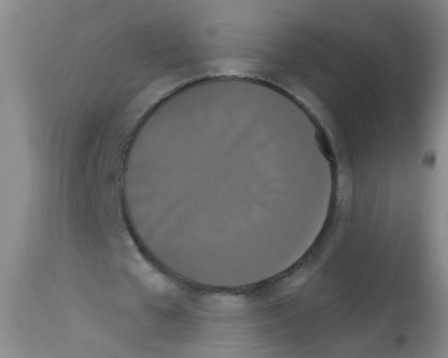 X0000113060577200910091146