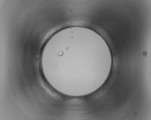 X0000113060578200910091146