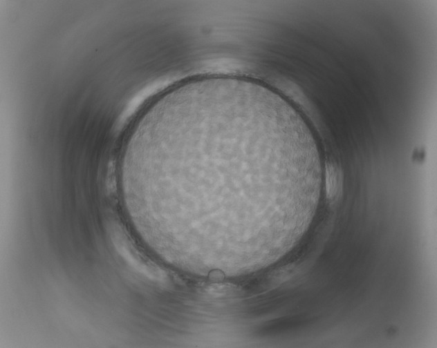 X0000113060579200910091146