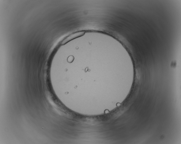 X0000113060580200910091146