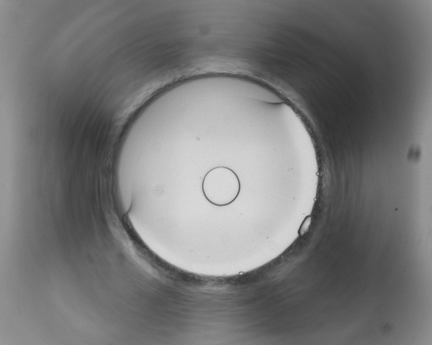 X0000113060581200910091146