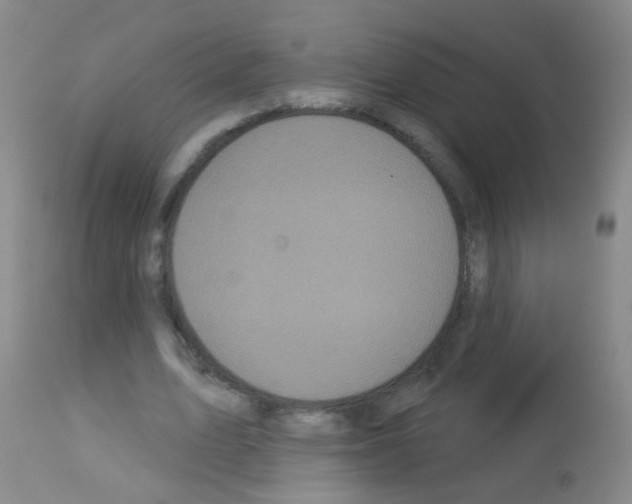 X0000113060583200910091145