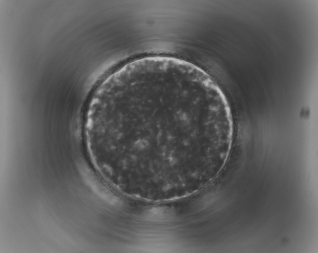 X0000113060584200910091145