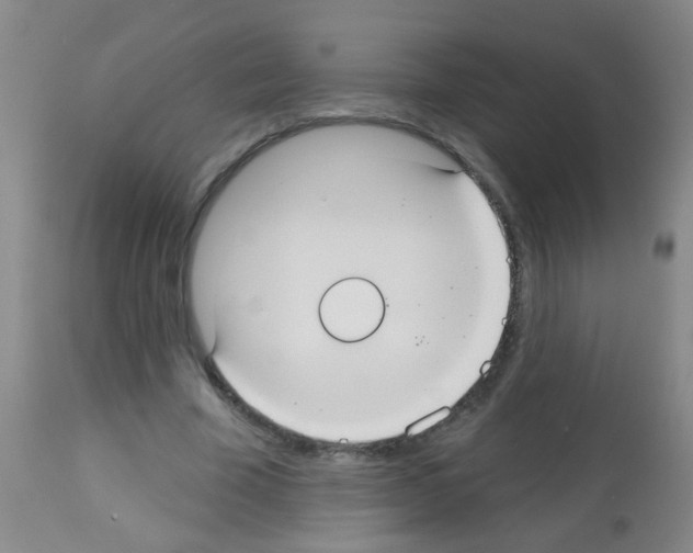 X0000113060585200910091145