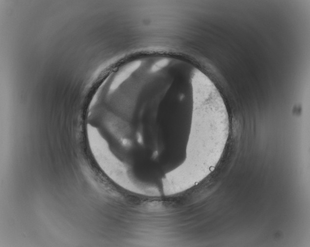 X0000113060588200910091145