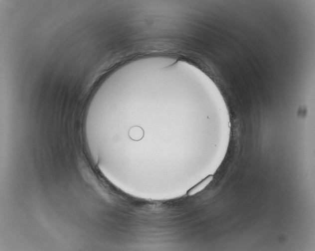 X0000113060589200910091145