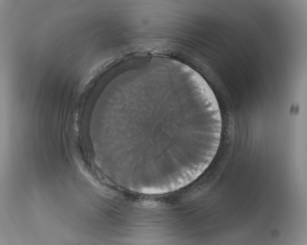 X0000113060590200910091145
