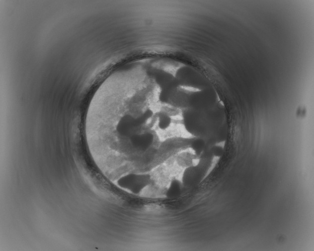 X0000113060591200910091145