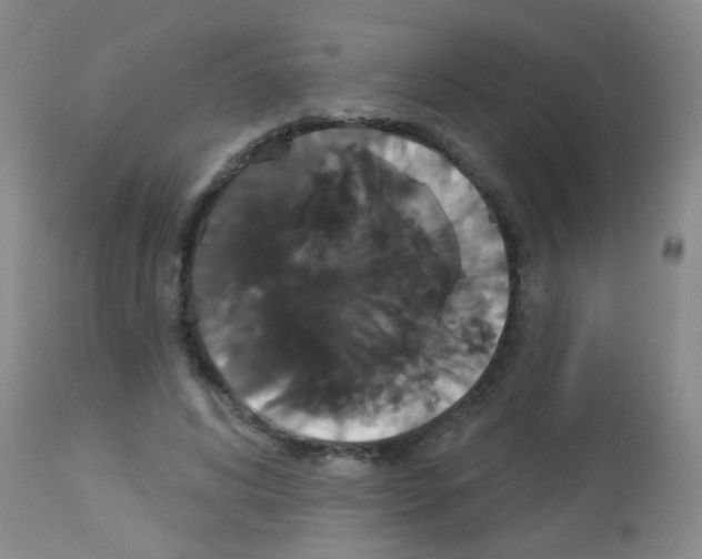 X0000113060592200910091145