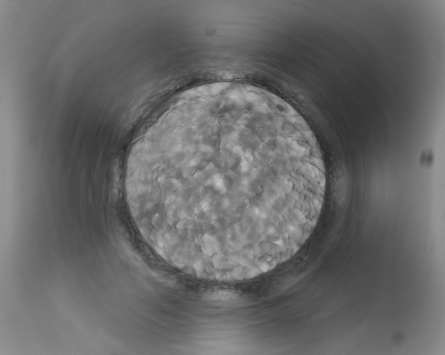 X0000113060594200910091145
