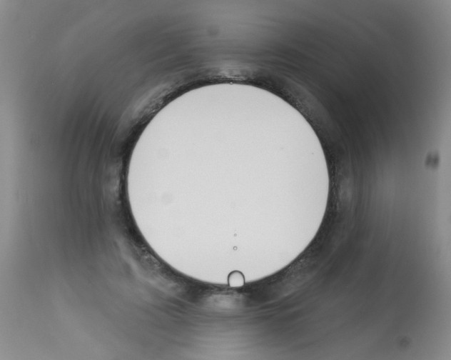 X0000113060595200910091145