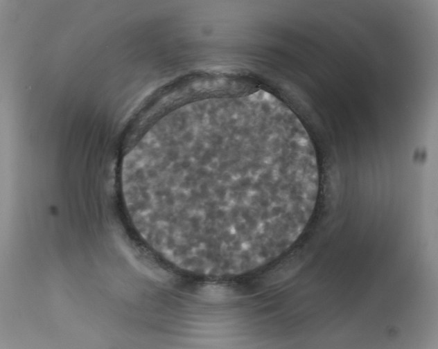 X0000113060596200910091145