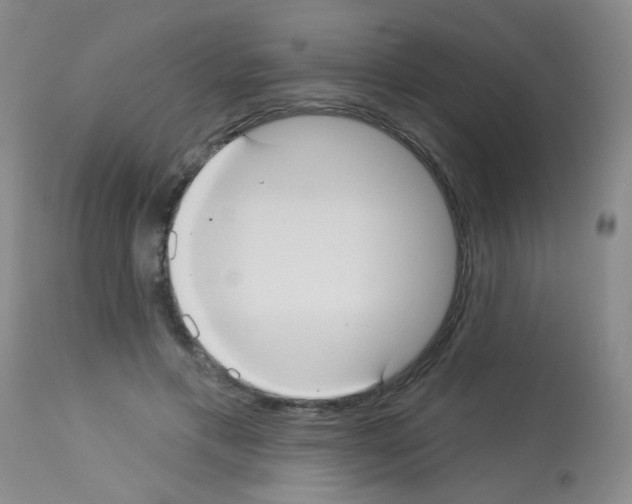 X0000113060597200910091145