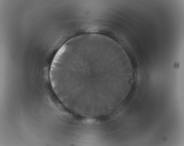 X0000113060598200910091145
