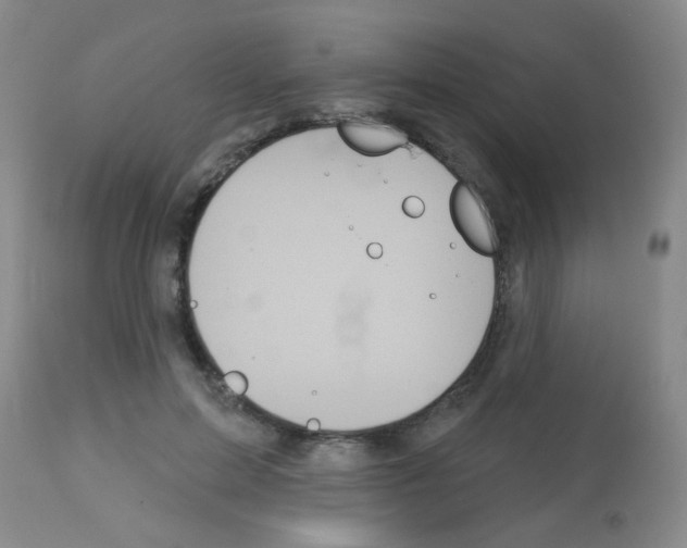 X0000113060599200910091145
