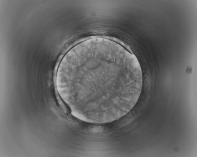 X0000113060600200910091145