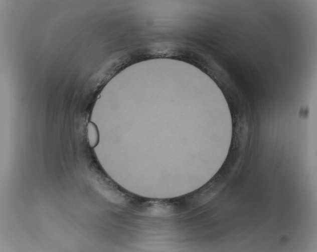 X0000113060601200910091145