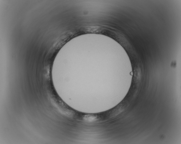 X0000113060602200910091145