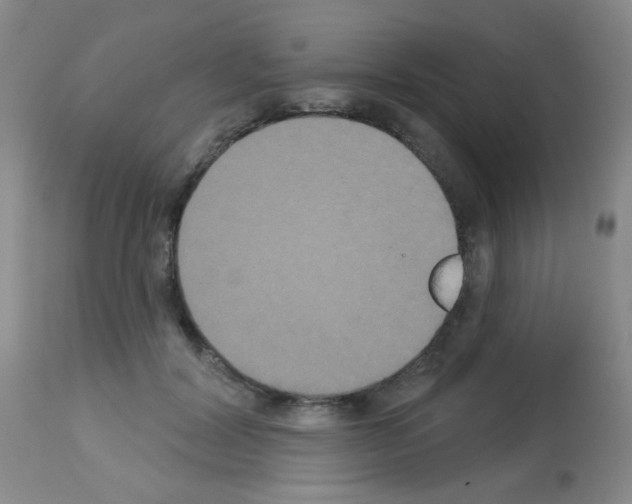 X0000113060604200910091145