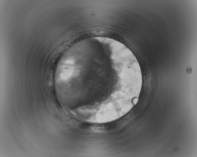 X0000113060606200910091145