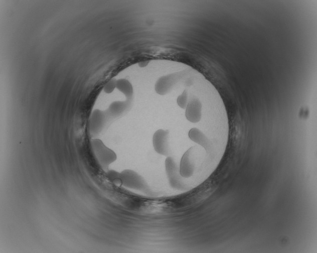 X0000113060607200910091145