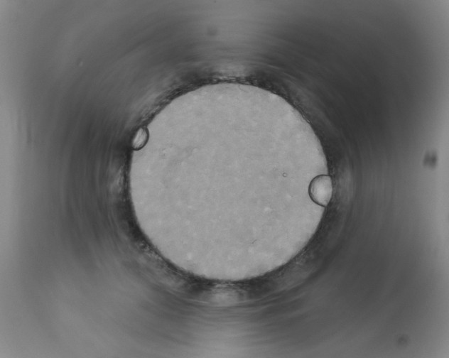 X0000113060608200910091145