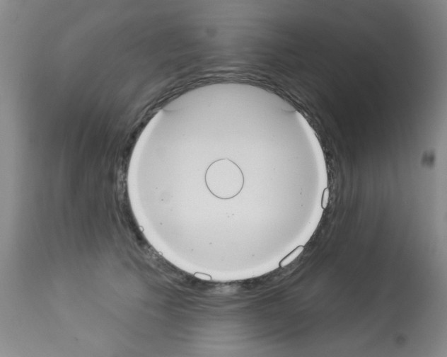 X0000113060609200910091145
