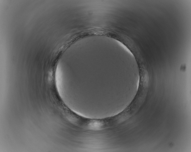 X0000113060610200910091145