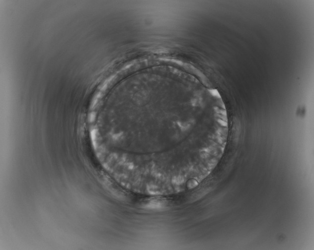 X0000113060612200910091145
