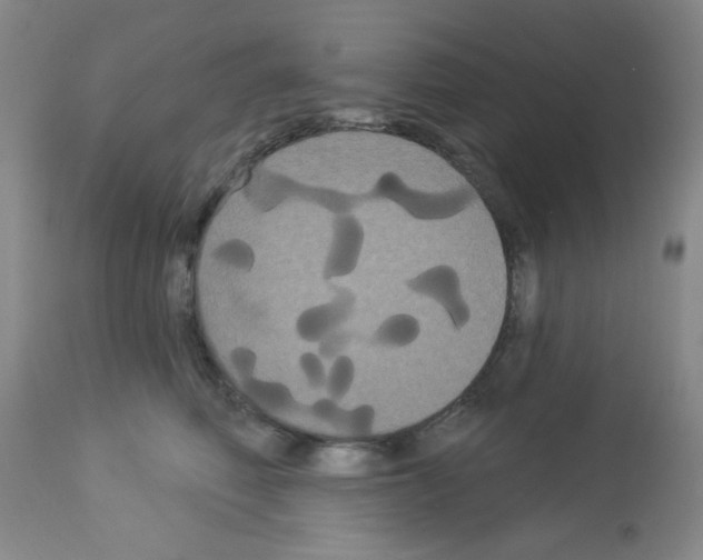 X0000113060614200910091145