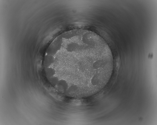 X0000113060615200910091145