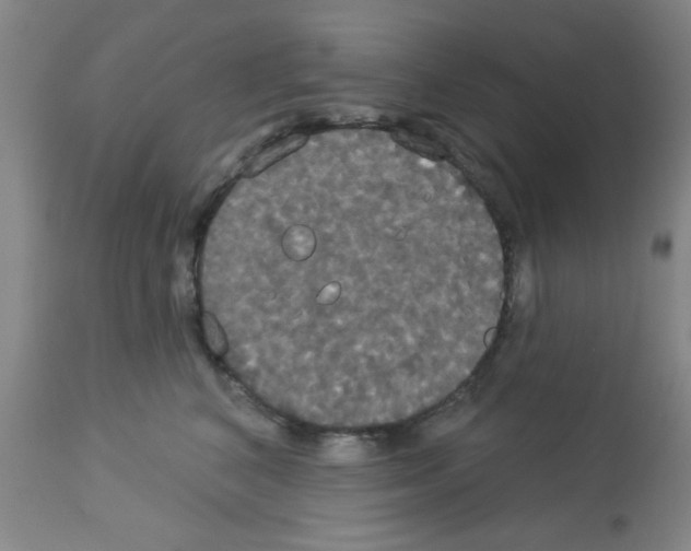 X0000113060616200910091145