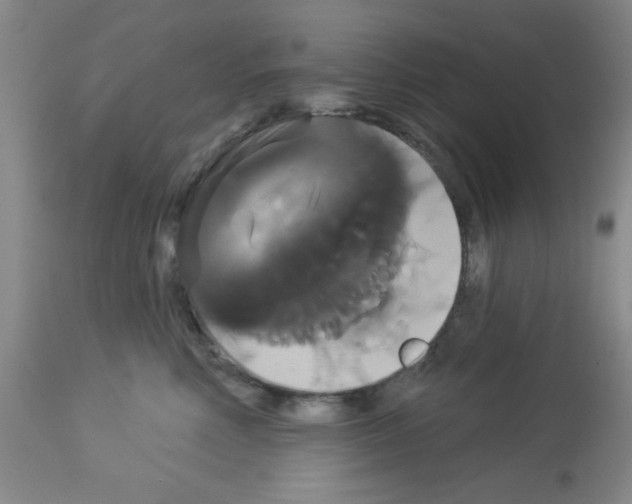 X0000113060618200910091145